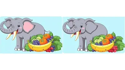 Tes Penglihatan: Seberapa Fokus dan Teliti Kamu? Coba Temukan 5 Perbedaan di Gambar Gajah Lucu Ini