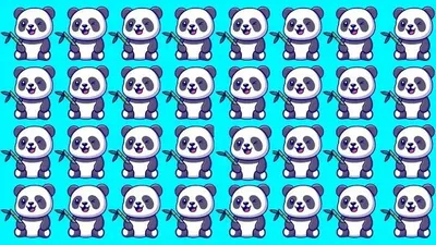 Tes Penglihatan: Emang Boleh Sesulit Ini? Latih Fokus Mata Kamu, Temukan 1 Gambar Panda yang Paling Berbeda!