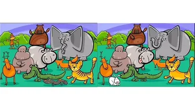 Tes Penglihatan: Biar Gak Pikun Dini, Temukan 7 Perbedaan di Gambar Kumpulan Hewan dalam 10 Detik!
