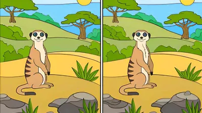 Tes IQ: Suka Hal Menantang? Coba Temukan 12 Perbedaan pada Gambar Lemur Ini
