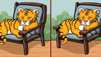 Tes IQ: Cari 3 Perbedaan pada Kedua Gambar Harimau yang Tidur di Kursi Ini, Yuk Uji Kemampuan Observasimu! (Jagran Josh)