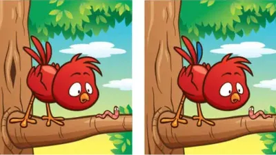 Tes IQ: Asah Observasi Kamu, Temukan 5 Perbedaan dari Anak Burung Ini (Jagran Josh)