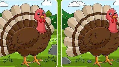 Tes IQ: Temukan 5 Perbedaan dari Gambar Kalkun Ini, Kemampuan Observasi Masih Baik? 