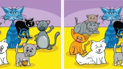 Tes IQ: Temukan 6 Perbedaan dalam Gambar Kucing untuk Mengasah Kemampuan Analisa Kamu