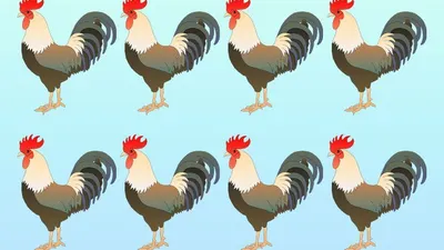 Tes IQ: Asah Analisamu dengan Temukan Ayam Paling Berbeda dalam Waktu 4 Detik
