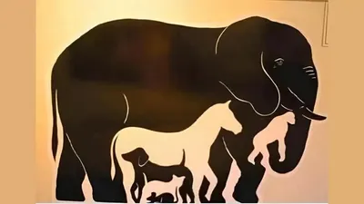 Tes Psikologi: Sebutkan 6 Binatang yang Ada Gambar Ini