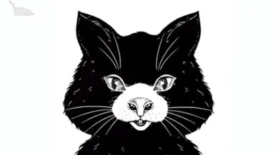 Tes Kepribadian: Kucing atau Tikus, Hewan Pertama yang Kamu Lihat Mengungkap Hubungan dengan Pasangan Saat Ini