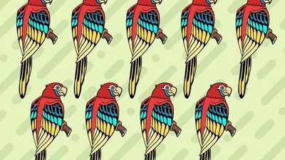 Tes Asah Otak: Bisakah Kamu Menemukan Burung Macaw Paling Berbeda di Kawanannya?