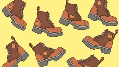 Tes IQ: Uji Kemampuan Analisamu dengan Menemukan Sepatu yang Tak Punya Pasangan