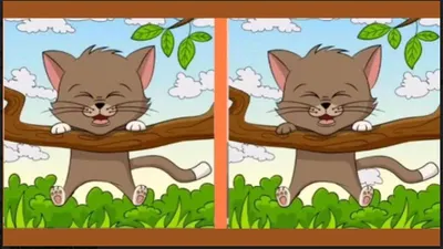 Tes IQ: Merasa Bosan? Temukan 3 Perbedaan pada Gambar Kucing Tersangkut di Pohon untuk Uji Kemampuan Observasi