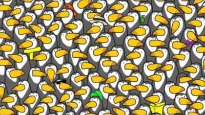 Tes IQ: Temukan Penguin di Antara Burung Toco Toucan untuk Uji Kejelian Matamu dalam Waktu 10 Detik
