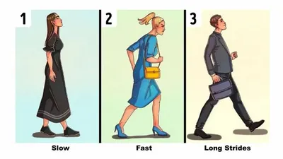Illustrasi Tes Kepribadian
