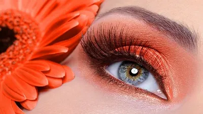 Tes Kepribadian Berdasarkan Warna Eyeshadow Favorit, Kamu Tipe yang Mana Nih? (freepik.com/valuavitaly)