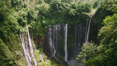 5 Kota Terfavorit di Indonesia untuk Menikmati Masa Tua Berdasarkan Survei GoodStats 2023, Ada Malang dan Bogor!
