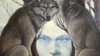 Illustrasi Tes Kepribadin