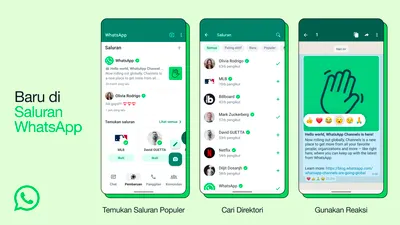 Ada cara mengembalikan tampilan status WhatsApp dengan menonaktifkan fitur Saluran.