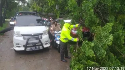 Petugas polisi mengevakuasi pohon tumbang yang menutupi jalan.