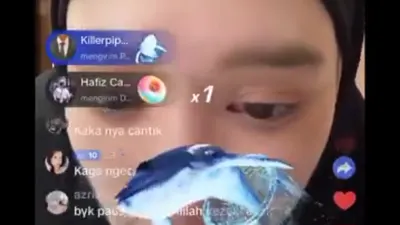 Setelah sebelumnya melepas cadar, Inara Rusli kembali disorot warganet usai mendapat hadiah atau gift Ikan Paus saat live di aplikasi TikTok.