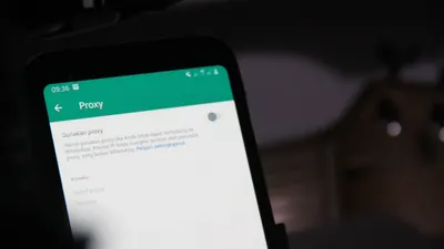 Proxy di fitur baru WhatsApp.