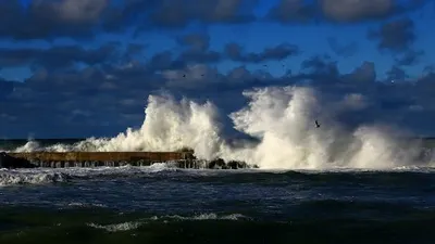 Pakar Ungkap Potensi Gempa Megathrust dan Tsunami 34 Meter di Indonesia, Sudah Diprediksi dari 10 Tahun Lalu?