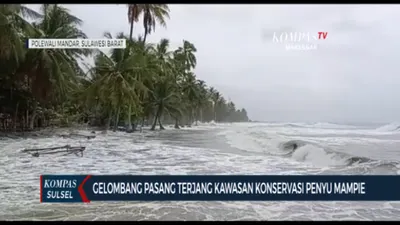Hard Gumay Ramal Gelombang Besar di Laut Sulawesi, Kini Konservasi Penyu Mampie Diterjang Gelombang Pasang Air