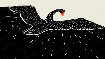 Belum Terpetakan dan Langka Terjadi, BMKG Sebut Gempa Jayapura Black Swan Earthquake