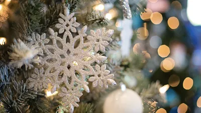 15 Link Download Lagu Hari Natal 25 Desember 2022, Hangatkan Kelahiran Yesus Kristus 