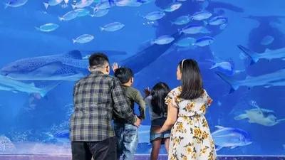 Salah satu Wisata Edukasi Bersama Keluarga Di Jakarta untuk Libur Nataru 