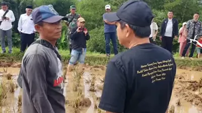 Nggak Takut Kotor! Ketika Dedi Mulyadi Anggota Dewan yang Tersohor Bertemu Dedi Mulyadi Peserta Lomba Traktor