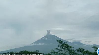 Erupsi Gunung Semeru yang terpantau dari PPGA Semeru di Gunung Sawur pada Sabtu (11/2/2023) pagi pukul 07.54 WIB.(Antara/HO-PVMBG)