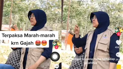 Viral! Video Afni Zulkifli dari LHK Terpaksa Marah Karena Gajah, Netizen Malah Beri Dukungan, Kok Bisa?