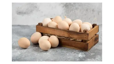 Ilustrasi telur