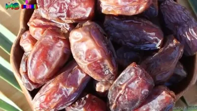 Simak 10 Fakta Unik Buah Kurma, Buah Khas dan Identik Bulan Ramadhan