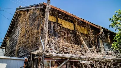 Jepang Mengalami Depopulasi, 9 Juta Rumah Tanpa Pewaris Jatuh ke Tangan Negara? Cek Info Lengkapnya!