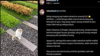 Kucing yang berada di makam Eril
