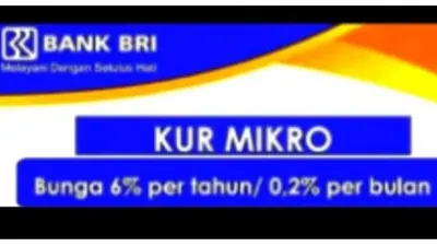 Ingin Pinjaman Besar dan Terjamin? KUR BRI 2023 Bisa Jadi Pilihan, Cek Syarat Lengkapnya di Sini!