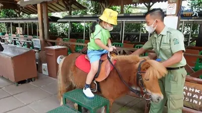 8 Rekomendasi Wisata Puncak Paling Seru untuk Tahun Baru, Lengkap dengan Harga Tiket Masuk 