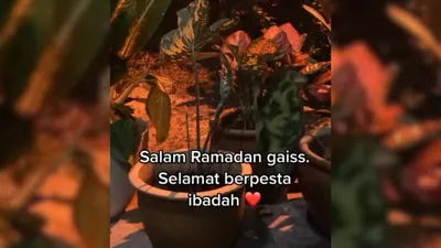 Sebuah video menunjukkan sebuah tanaman yang  berdzikir di dekat sebuah surau atau tempat ibadah umat muslim buat heboh warganet.