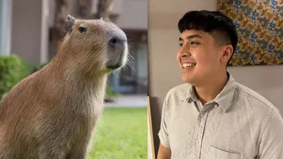 Apa Hubungan Jerome dan Masbro Capybara? Netizen Sampai Berikan Julukan Kepekaan Sosial Rendah.(Sumber Foto: @JeromePolin)
