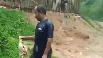 Banjir bandang di Cianjur sebabkan ayam ternak warga hanyut dan mati