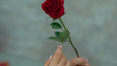 Berkat mengetahui ciri-ciri ini, kita dapat lebih memahami orang-orang di sekitar kita yang mungkin memiliki rasa suka kepada kita.