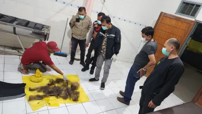 MEMERIKSA KERANGKA: Petugas Inafis Satreskrim Polres Sumedang memeriksa kerangka manusia yang ditemukan di hutan Ciraneg. Polisi belum memastikan identitas kerangka tersebut. (Agun Gunawan )