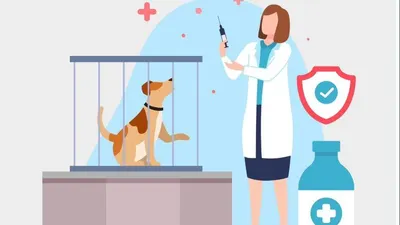Viral Bocah 5 Tahun di Buleleng Bali Tewas Digigit Anjing Rabies, Begini Penanganan Luka Gigitan Hewan Rabies