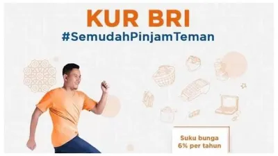 Pengajuan KUR BRI 2023 Ditolak Padahal Mantri Sudah Survey? Mungkin Ini Penyebabnya!