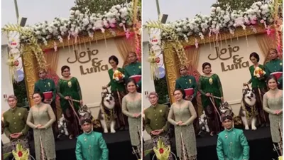 Dinas Kebudayaan (Disbud) Daerah Istimewa Yogyakarta (DIY) mengecam pernikahan Anjing Jojo dan Luna yang dilakukan menggunakan prosesi adat Jawa.