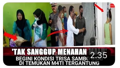 Cek Fakta