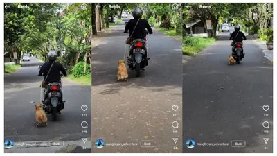 Seorang Wanita di Bali Menyeret Anjing Menggunakan Motor
