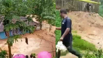 Bencana banjir di Cianjur, seorang wanita pemiliki ternak ayam menangis histeris lihat hewan siap panen hanyut.
