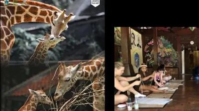 Seru! Rekomendasi Wisata Edukasi di Jakarta, Cocok untuk Menambah Pengetahuan Anak