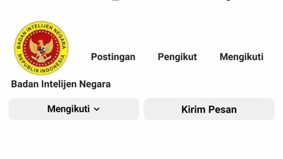 Tampilan akun Instagram BIN yang hilang.